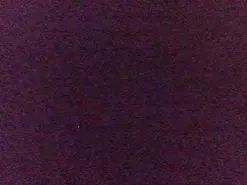 Amateur Sex Chat of susyy23