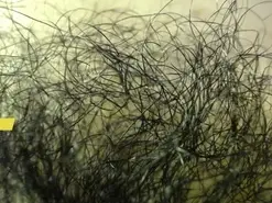 Amateur Sex Chat of Amber_Naughtyx