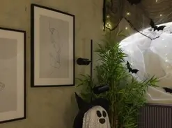 Amateur Live Sex Cam of Willowhendrix