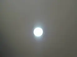 Amateur Adult Video Chat of JulietaTurnerHT