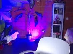 Amateur Watch Live Sex Cams of taniaqueen19