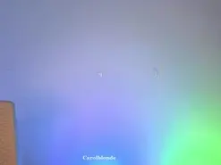 Amateur Live Porn of carol_blonde