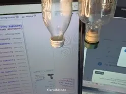 Amateur Live Porn of carol_blonde