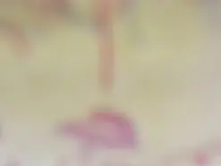 Amateur Live Sex of beca3