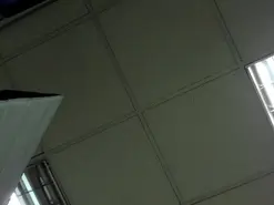 Amateur Best live sex cam show of alice772