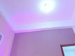 Amateur Live Sex of JupiterFox