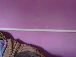 Amateur Live Sex Cam of Medjik_lool