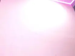 Amateur Live Porn of day_demoni