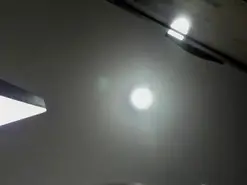 Amateur Live Sex Cam of Ammycutecs