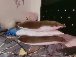 Amateur Best live sex cam show of tyler_cat
