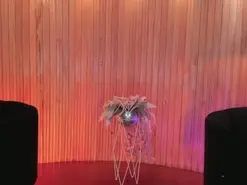 Amateur Free Live Porn of SophieHouston