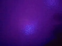 Amateur Free Porn Cam of camila_valkirye