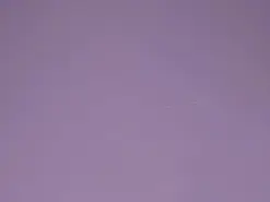 Amateur Sex Chat of Abby-