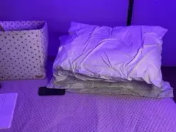 Amateur Free Porn Cam of Sofilasanta