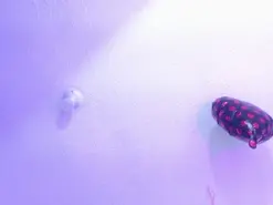 Amateur Private Sex Chat of valeri_sotoo