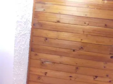 Bongacams Best Webcam of Nina-bae