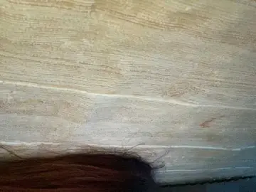 Bongacams Best Webcam of Asiankitties