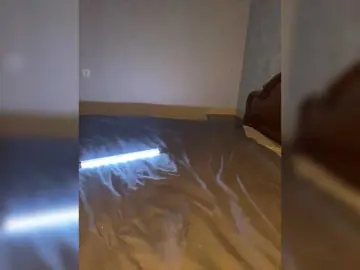 Bongacams Sex Cam of Wallis