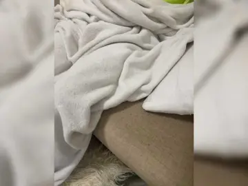 Bongacams Free Porn Cam of Misscreamerr