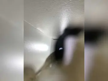 Bongacams Watch Live Sex Cams of SallyeLeins