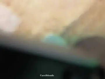 Bongacams Watch Live Sex Cams of Charlotte-glasses