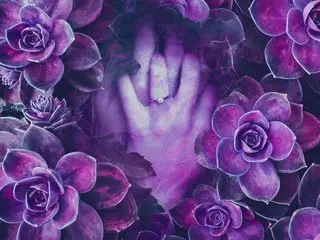 Alice-Patrik1