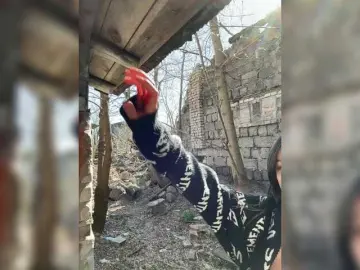 Bongacams Nude Webcam of Tr1xie