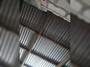 Bongacams Free Porn Cam of JuicyKittie