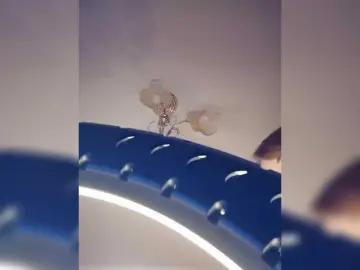 Bongacams Nude Webcam of Her-Girl