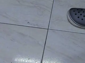 Bongacams Free Porn Cam of room-kitty