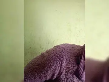 Bongacams Adult Video Chat of Katty-12