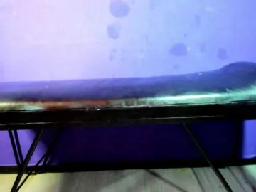 Bongacams Adult Webcams of Secret-Pleassure