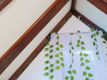 Bongacams Nude Webcam of lucia-sweeet