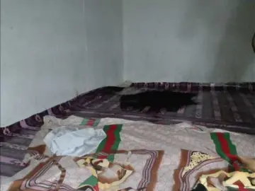 Bongacams Live Sex Cam of sexykimxx