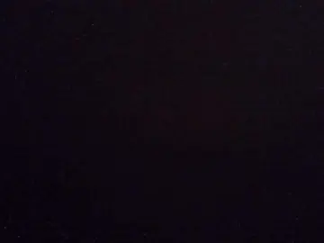 Bongacams Live Porn of PetiteBunnny