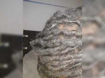 Bongacams Sex Chat of Darkdesire-1