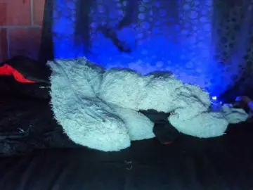 Bongacams Live Sex Cam of cata-anngel