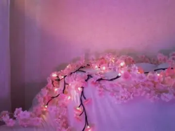 Bongacams Free Live Porn of MyrleHenggeler