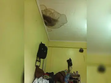 Bongacams Free Porn Cam of dorothykemunto