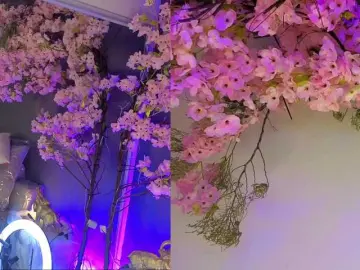 Bongacams Free Live Porn of miasecretmodel