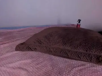 Bongacams Live Sex of AriaFoster