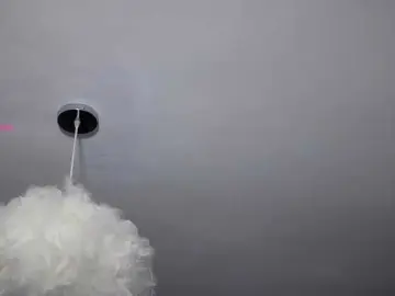 Bongacams Watch Live Sex Cams of LinettAbsolut