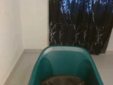 Bongacams Sex Cam of Nasty-lilly