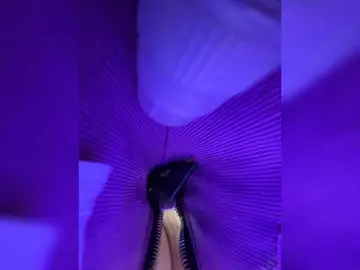 Bongacams Live Porn of Likachkaa