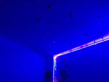 Bongacams Sex Chat of Sammyviolet