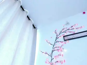 Bongacams Private Sex Chat of NicoRobinx