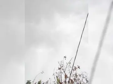 Bongacams Sex Chat of Luxukisska