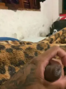 Cam4 Live Sex of silva096