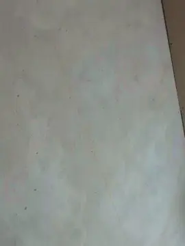 Cam4 Live Porn of Tuperrita33