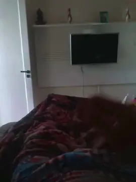 Cam4 Sex Chat of Harame